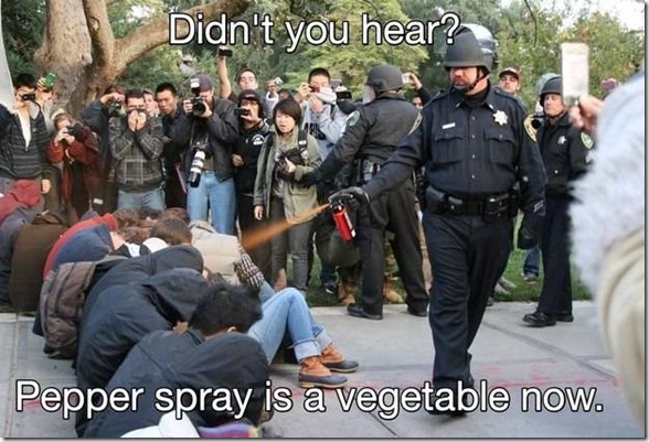 pepper-spray-cop-12