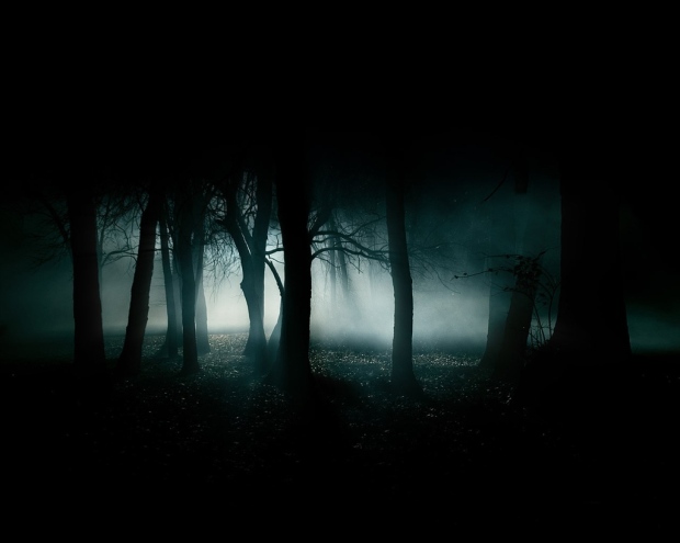 dark-forest-1